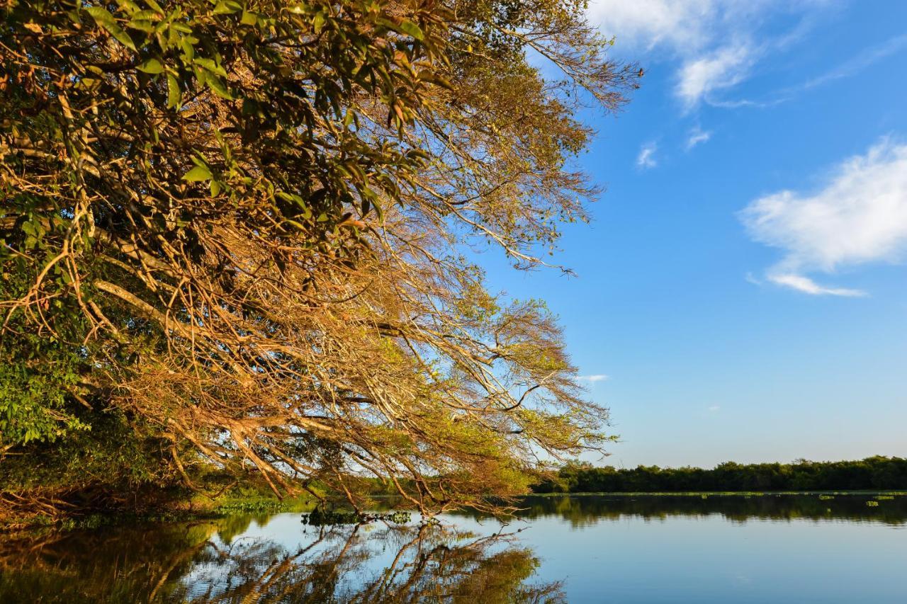 Pousada Rio Claro Poconé Exteriör bild